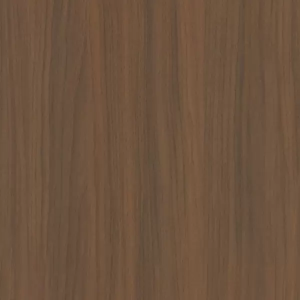 XGM304 Ohio-Walnuss