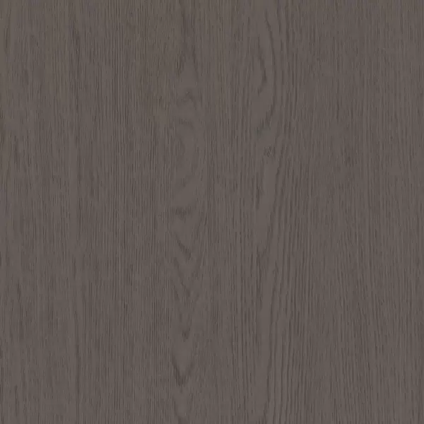 XGM311 Roots Graueiche