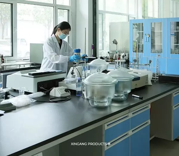 XINGANG FORSCHUNGSINSTITUT